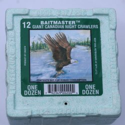 Canadiske Regnorm 500 stk (2026) (Bestillingsvare)